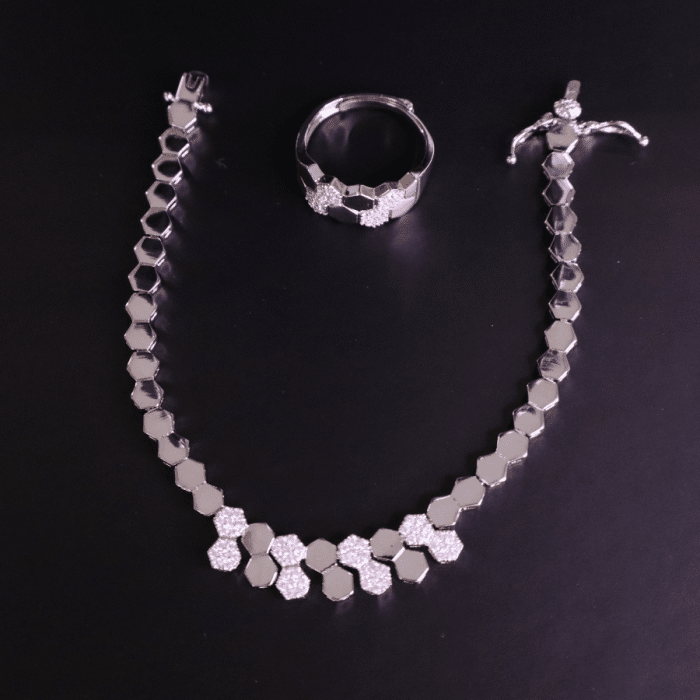 Luxury Evening Set, Plated in Silver - Image 4