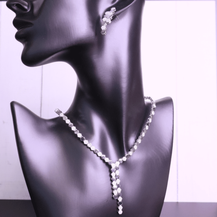 Luxury Evening Set, Plated in Silver - Image 2